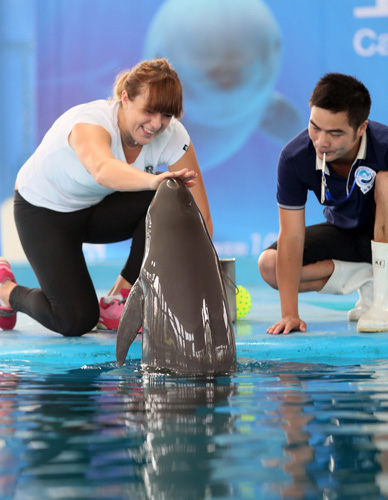 行超过两小 行超过两小